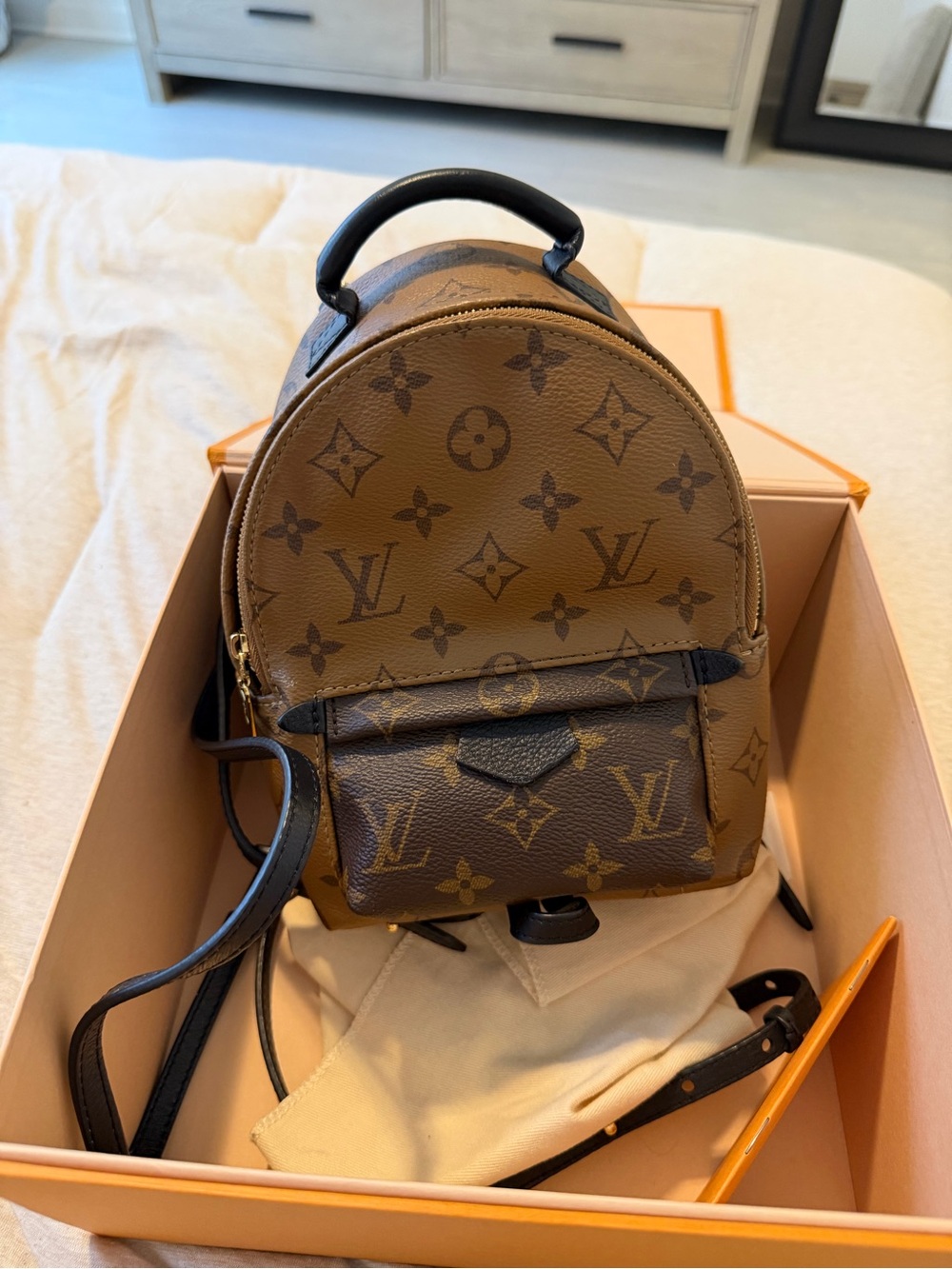 Louis Vuitton Monogram Canvas Mini Backpack in Brown and Black